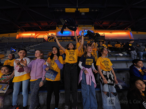 Fans