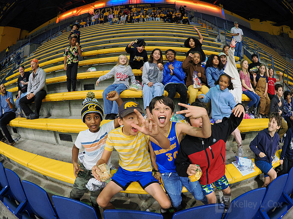 Fans