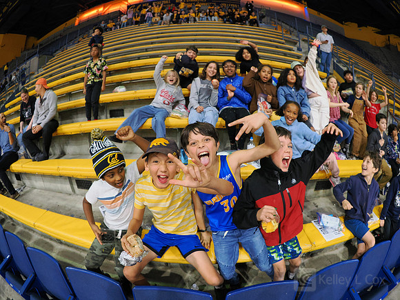 Fans