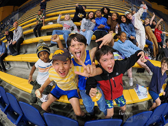 Fans