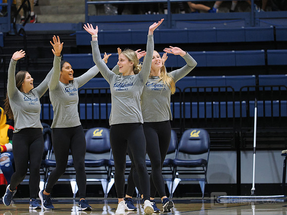 Womens Gymnastics