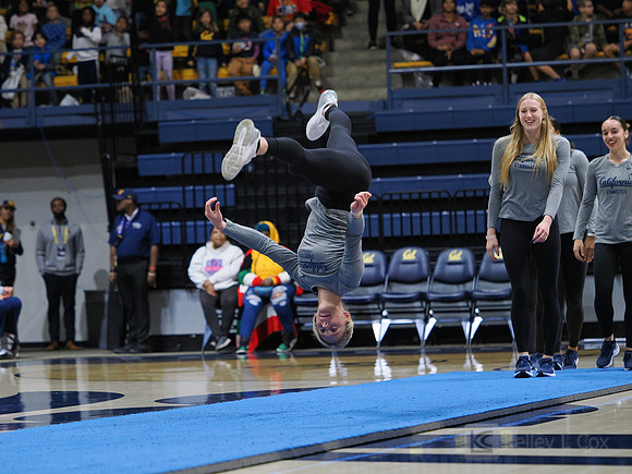 Womens Gymnastics