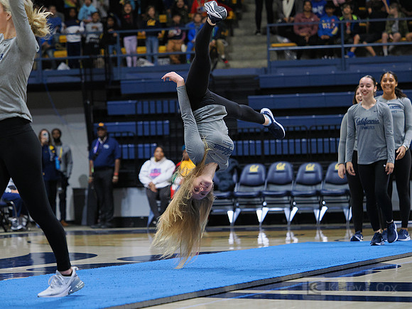 Womens Gymnastics