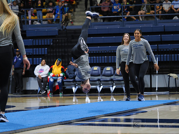 Womens Gymnastics