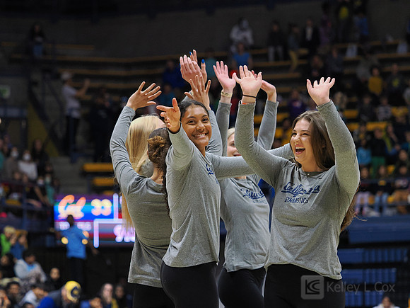 Womens Gymnastics