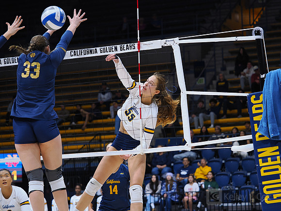 Volleyball: California Golden Bears vs Notre Dame Fighting Irish