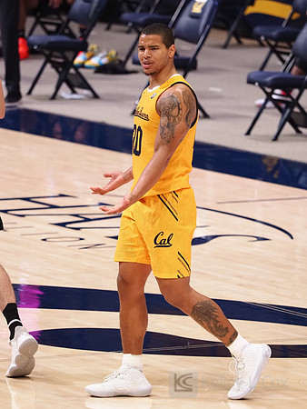 Matt Bradley