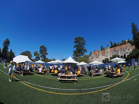 Tailgate Town