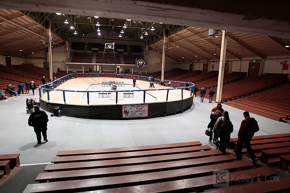 Roller Derby