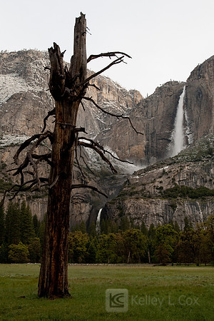 Yosemite 2011