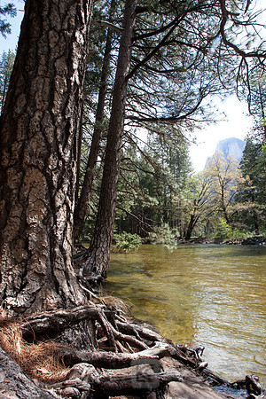 Yosemite 2011