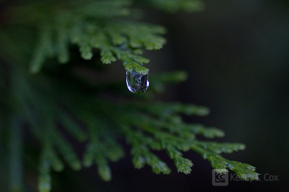 Yosemite 2011
