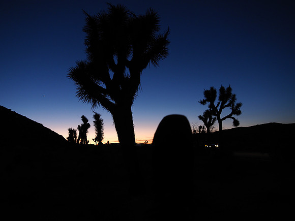 Joshua Tree National Park