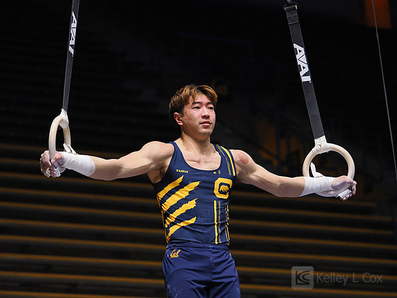 Men’s Gymnastics: California Golden Bears vs Stanford Cardinal