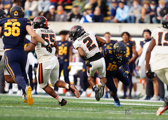 NCAA Football: Oregon State at California