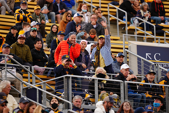 NCAA Football: Oregon State at California