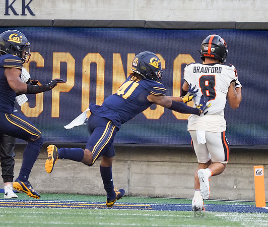 NCAA Football: Oregon State at California
