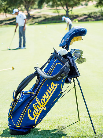 Cal Men's Golf