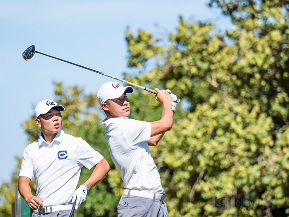 Cal Men's Golf