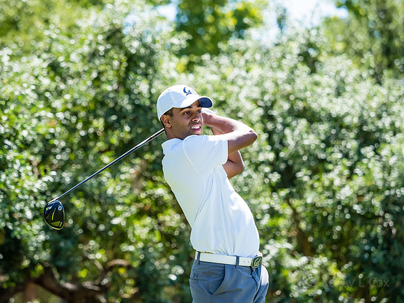 Cal Men's Golf