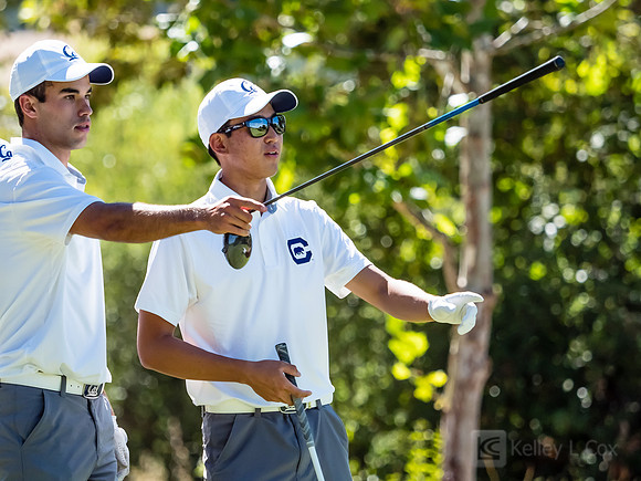 Cal Men's Golf
