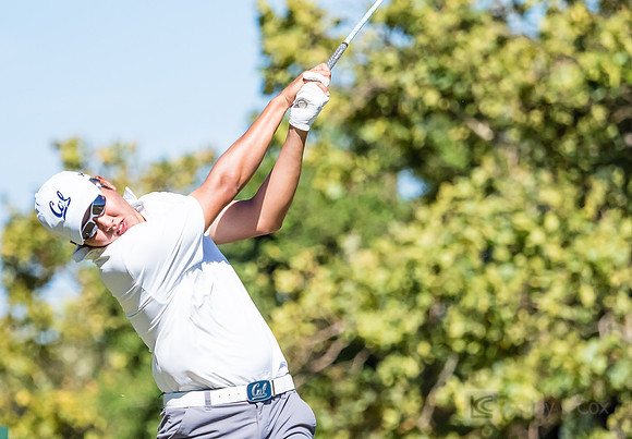 Cal Men's Golf