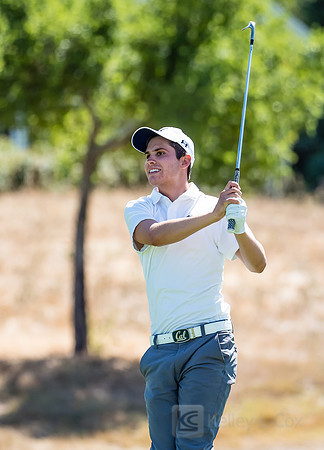 Cal Men's Golf