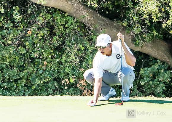 Cal Men's Golf