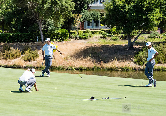 Cal Men's Golf