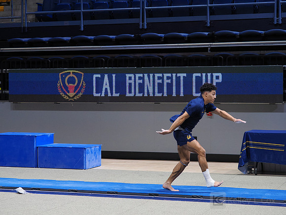 California Golden Bears