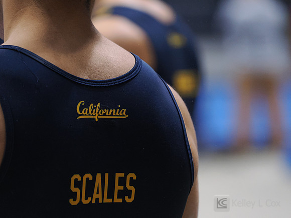 Chris Scales