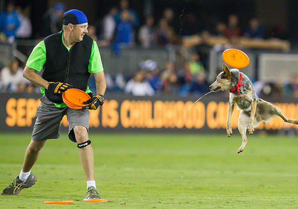 MLS: Seattle Sounders FC at San Jose Earthquakes