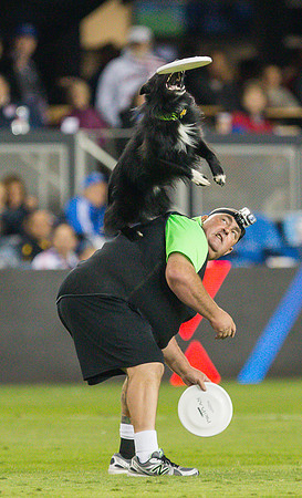 MLS: Seattle Sounders FC at San Jose Earthquakes