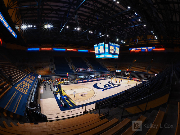 Women’s Basketball: California Golden Bears vs CSU Bakersfield Roadrunners