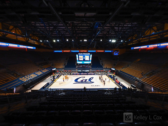 Women’s Basketball: California Golden Bears vs CSU Bakersfield Roadrunners