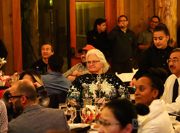 Steven Engineering Holiday Party