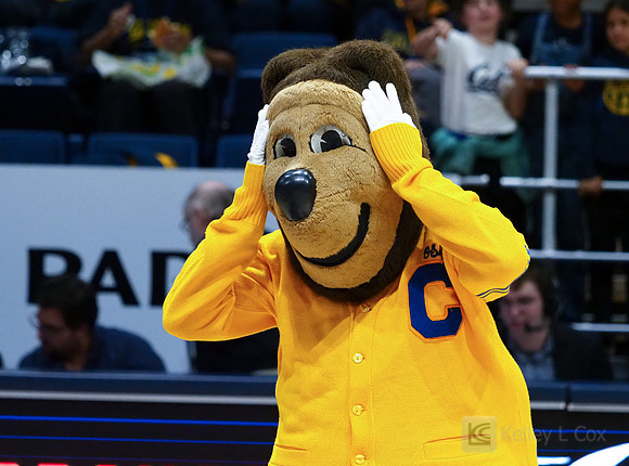 Oski