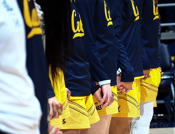 Team