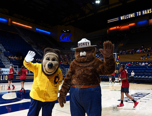 Oski, Smokey the Bear