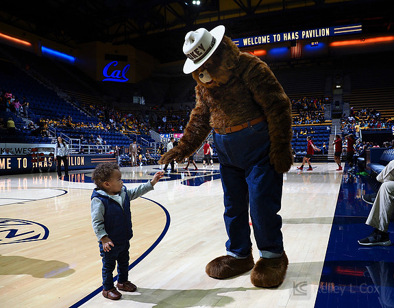 Weston, Smokey the Bear
