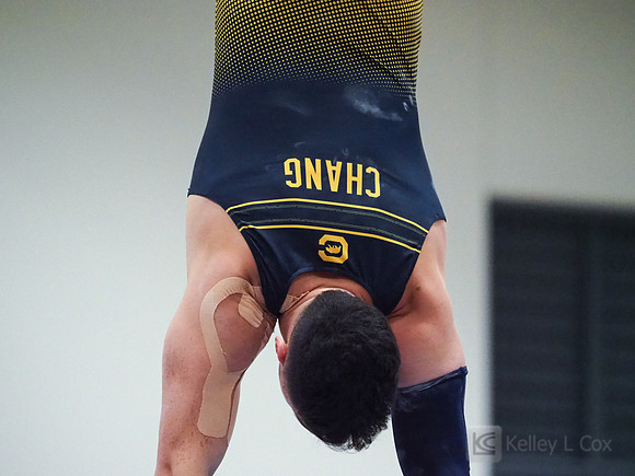 Bailey Chang