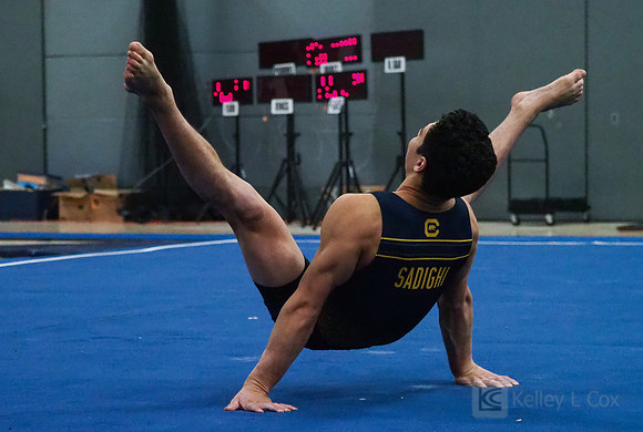Shane Sadighi