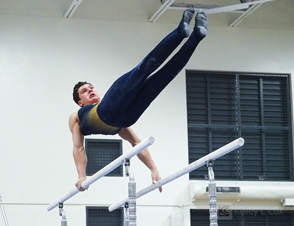 Shane Sadighi