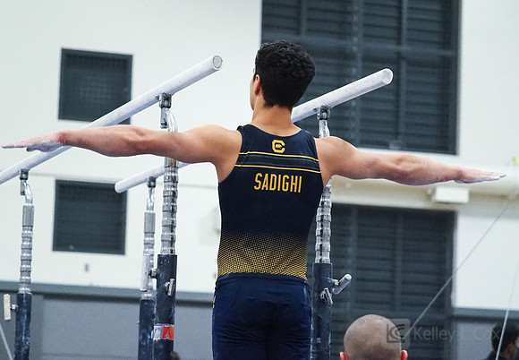 Shane Sadighi