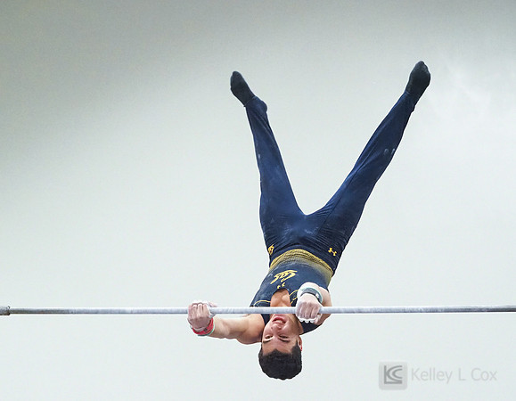Shane Sadighi
