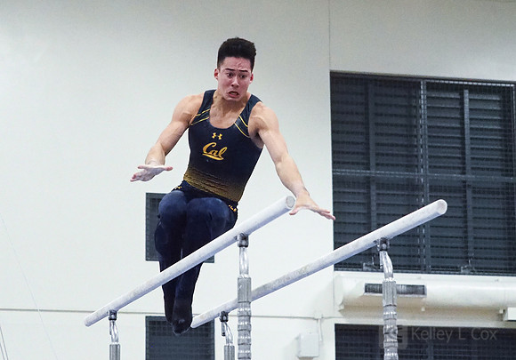 Aaron Mah