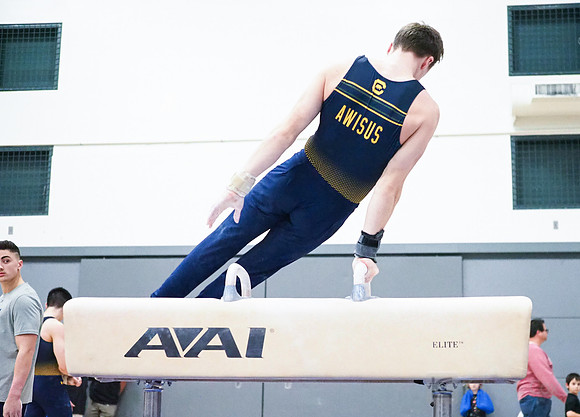 Mitchell Awisus
