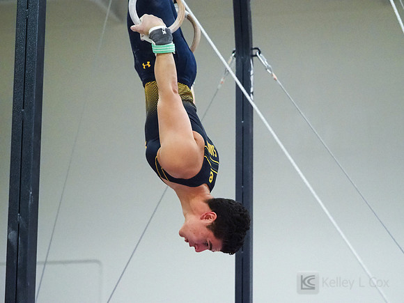 Shane Sadighi