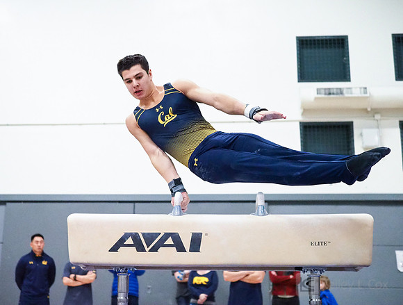 Shane Sadighi