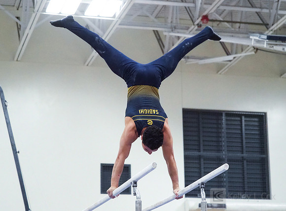 Shane Sadighi